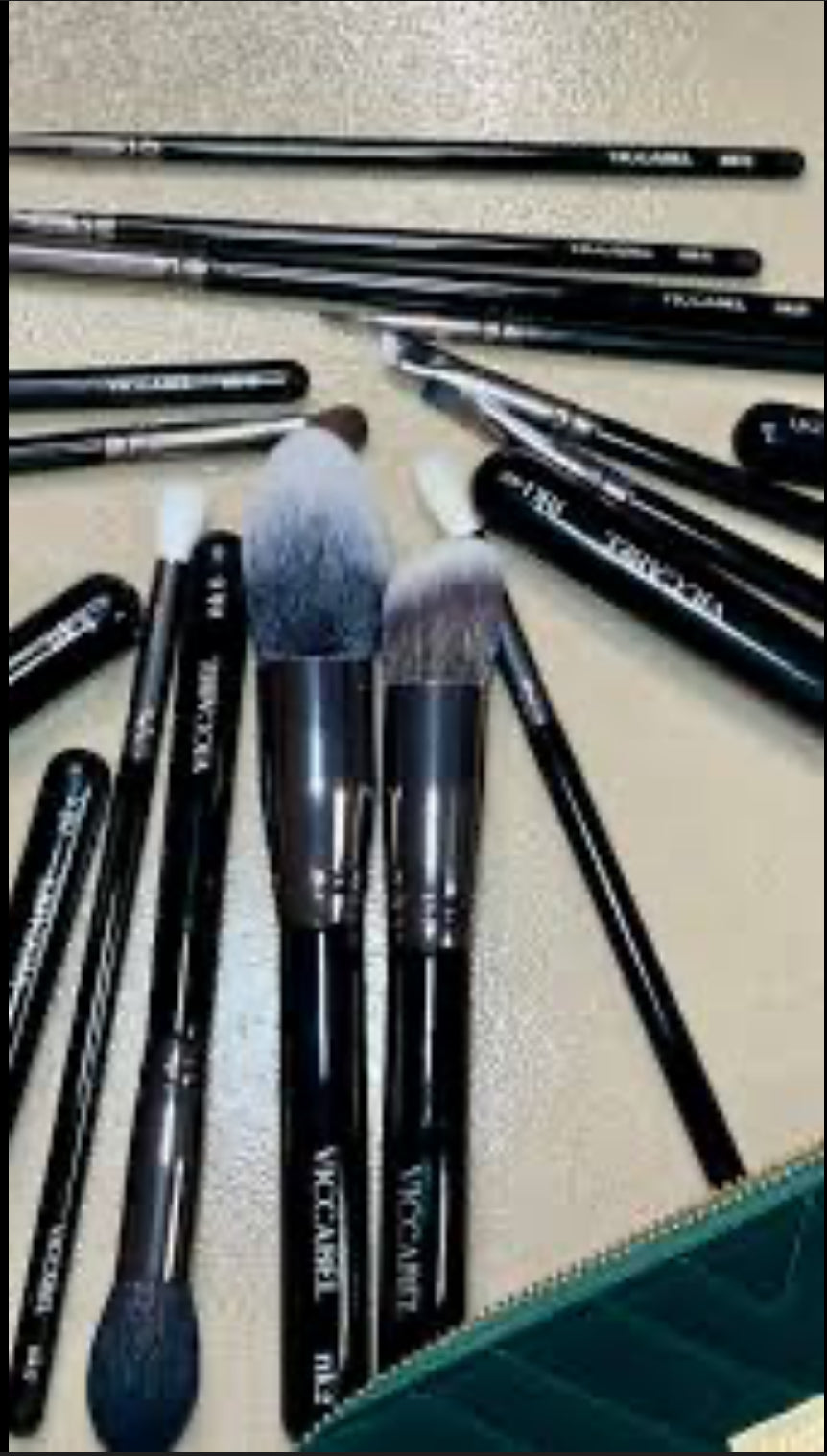 Viccabel Professional Makeup Brush set