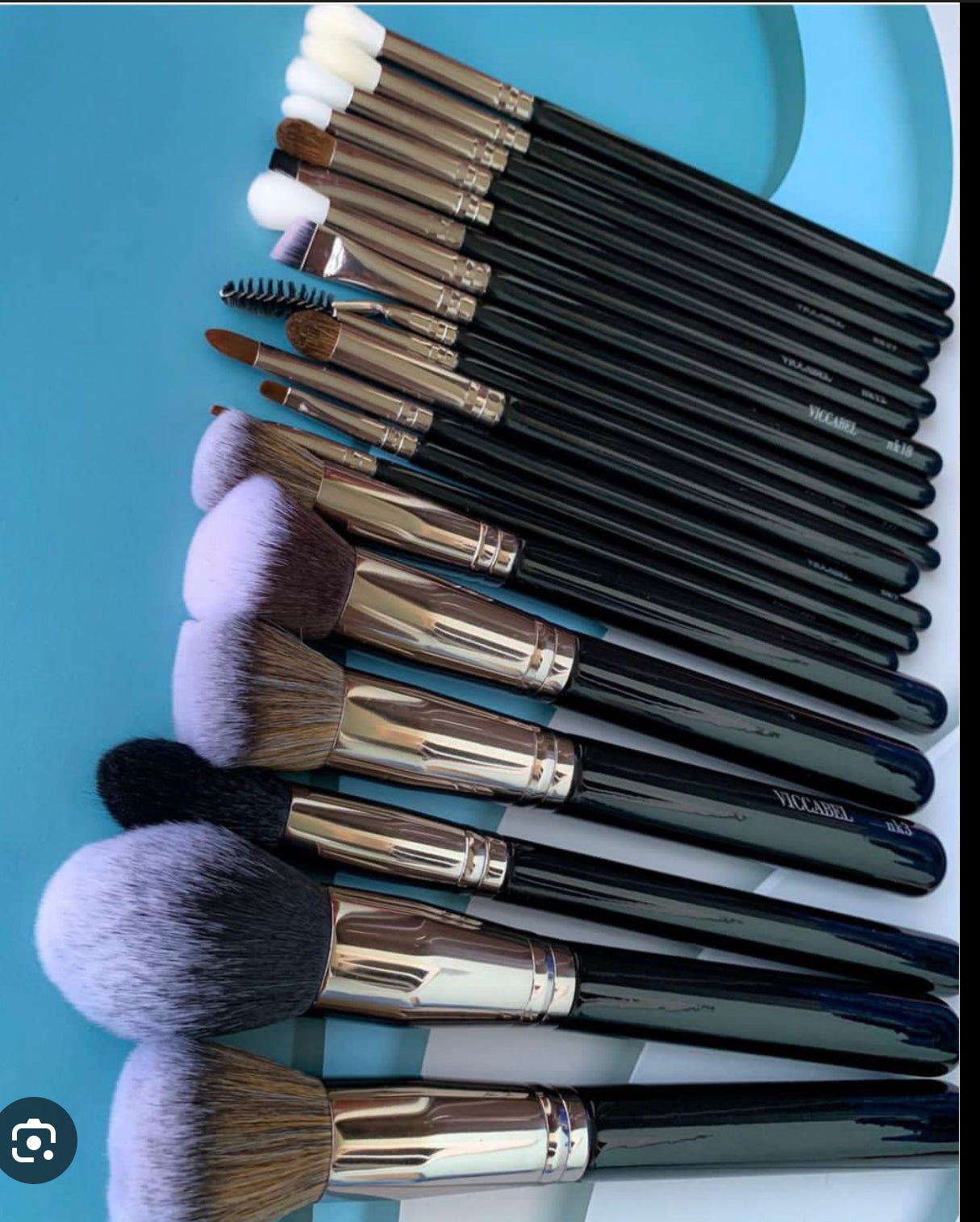 Viccabel Professional Makeup Brush set